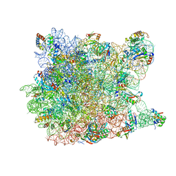 BU of 2qex by Molmil