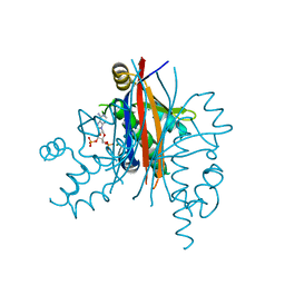 BU of 2qg8 by Molmil