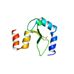 AU of 2qgp by Molmil