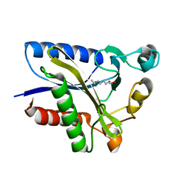 BU of 2qhv by Molmil