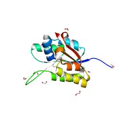 AU of 2qip by Molmil