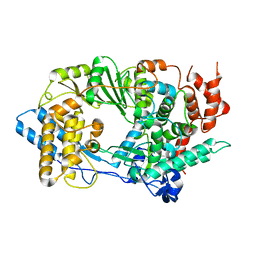 BU of 2qj1 by Molmil