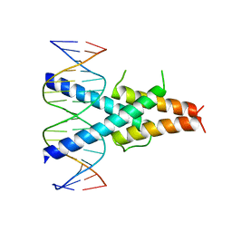 BU of 2ql2 by Molmil