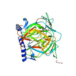 BU of 2qlp by Molmil