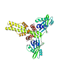 BU of 2qm4 by Molmil