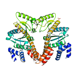 BU of 2qm7 by Molmil