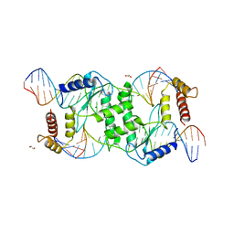 BU of 2qnc by Molmil