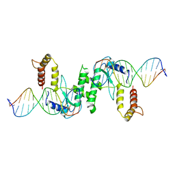 BU of 2qnf by Molmil