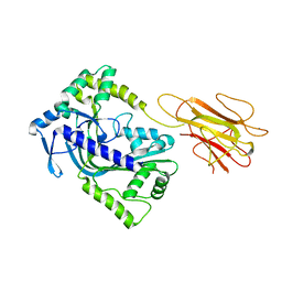 BU of 2qp2 by Molmil