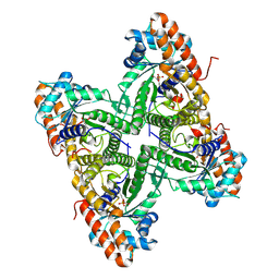 BU of 2qut by Molmil