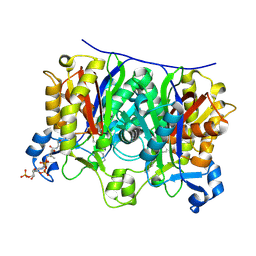 BU of 2qx1 by Molmil