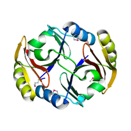BU of 2rbb by Molmil
