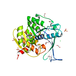 AU of 2rbc by Molmil