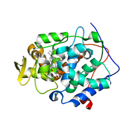 BU of 2rbu by Molmil