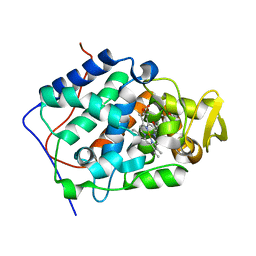 BU of 2rc1 by Molmil