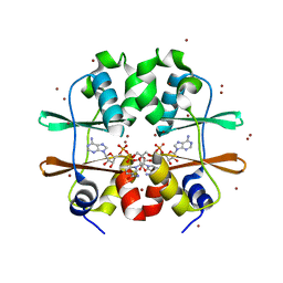 BU of 2rc3 by Molmil