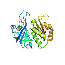 BU of 2rc5 by Molmil