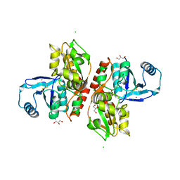 AU of 2rc7 by Molmil