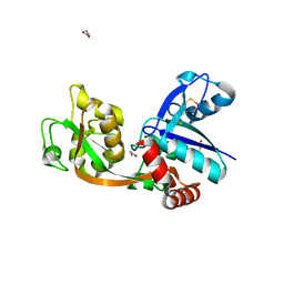 BU of 2rca by Molmil