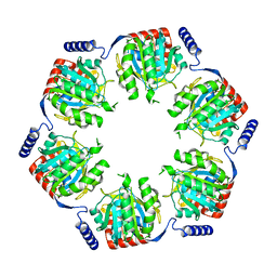 BU of 2rec by Molmil