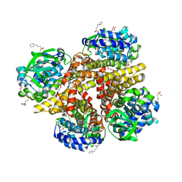 BU of 2rfq by Molmil