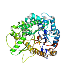 BU of 2rgm by Molmil