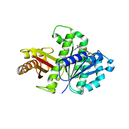 BU of 2rhl by Molmil