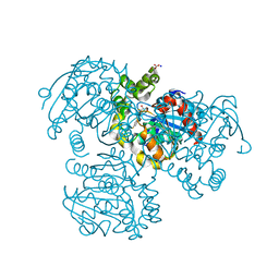 BU of 2rhw by Molmil