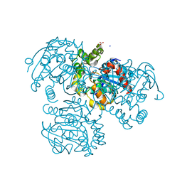 BU of 2ri6 by Molmil