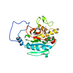 BU of 2rj4 by Molmil