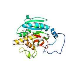 BU of 2rj5 by Molmil