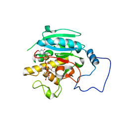 BU of 2rj8 by Molmil