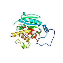 BU of 2rj9 by Molmil