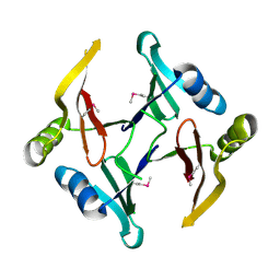 BU of 2rk9 by Molmil