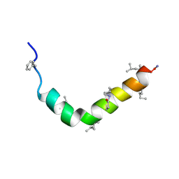 BU of 2rmd by Molmil