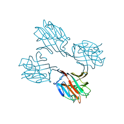 BU of 2sba by Molmil