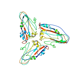 AU of 2sbv by Molmil