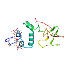 BU of 2spt by Molmil