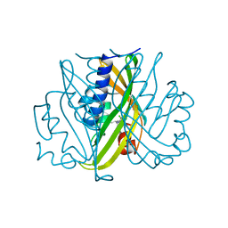 BU of 2std by Molmil