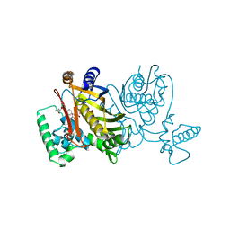 BU of 2tdd by Molmil