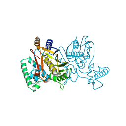 BU of 2tdm by Molmil