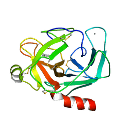 BU of 2trm by Molmil