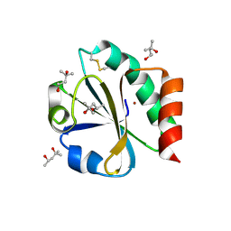 BU of 2trx by Molmil