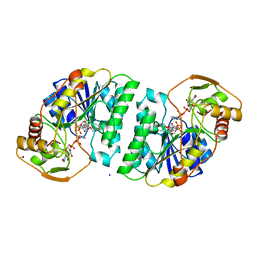 BU of 2udp by Molmil