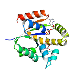 BU of 2ukd by Molmil