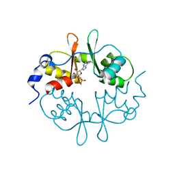 BU of 2uv4 by Molmil