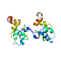 BU of 2uvl by Molmil