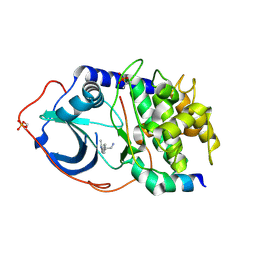 BU of 2uw4 by Molmil