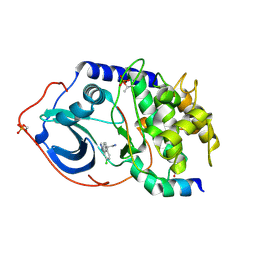 BU of 2uw6 by Molmil