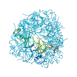 Search by PDB author - Protein Data Bank Japan